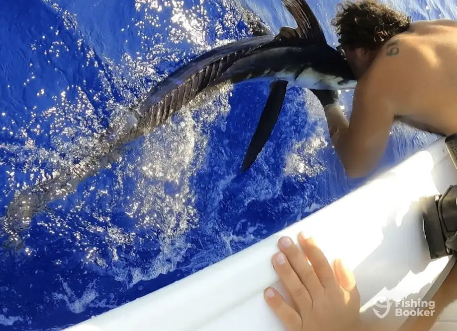 Raider Spirit Sportfishing charter image 4