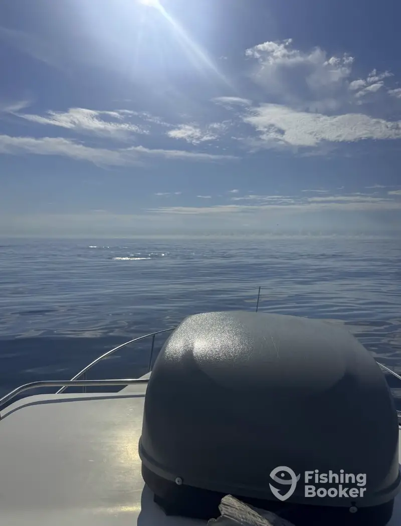 Slice O Life Charter and Cruise LLC charter image 2