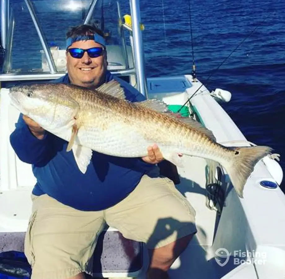 Reelin Pelican Fishing Charters charter image 5