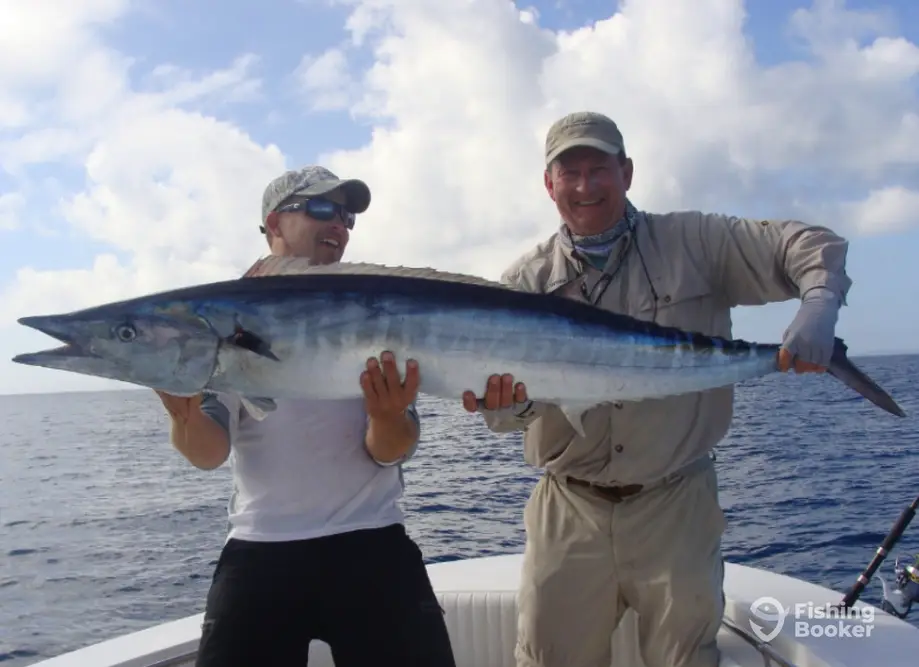 Streamline Charters charter image 3