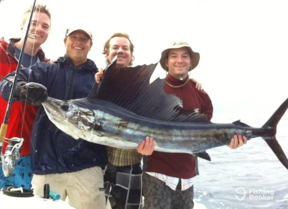 Streamline Charters charter image 5