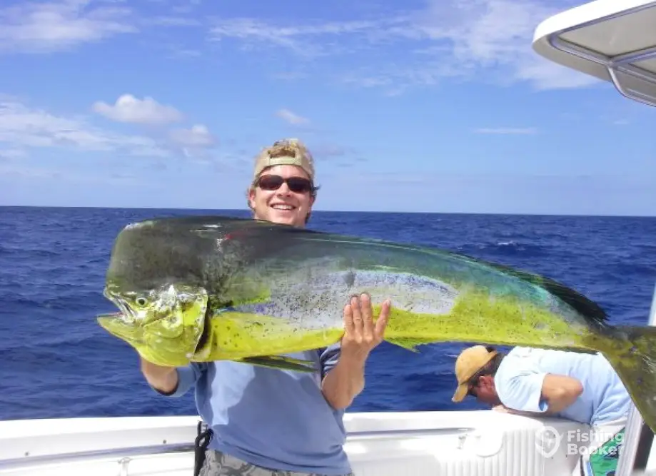 Streamline Charters charter image 6