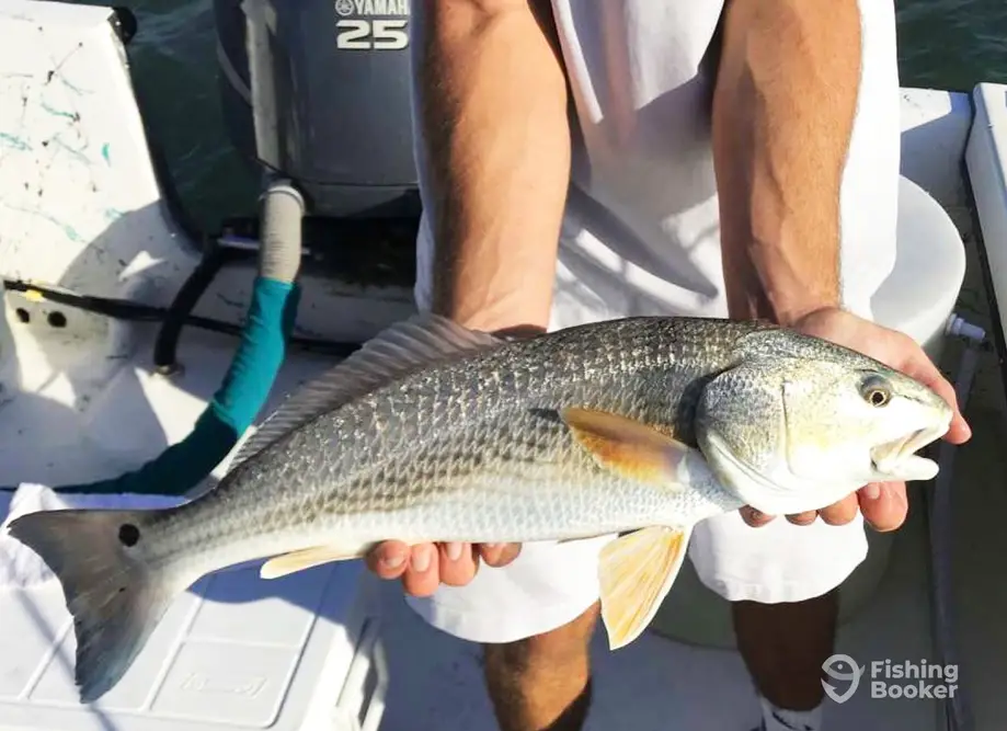 Circle Bak Fishing charter image 4