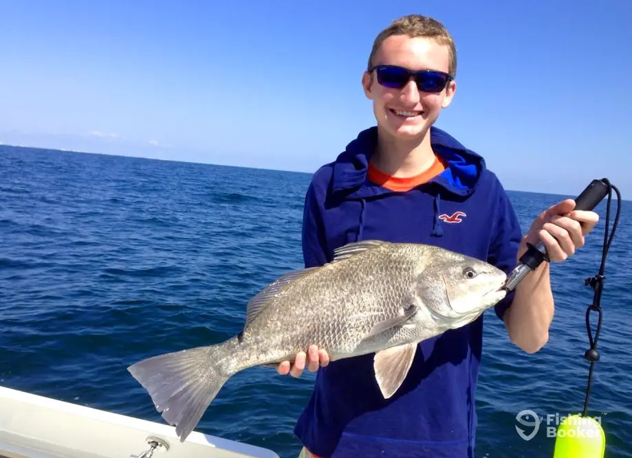 Salty Dawg Fishing Charters charter image 3