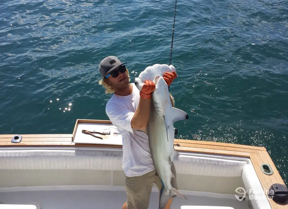 Fugitive Fishing Charters charter image 5