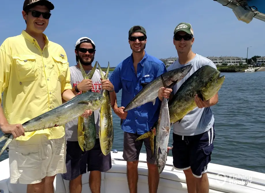 Leverdrag Charters charter image 3