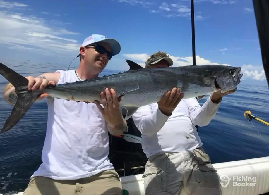 Hey Now Charters charter image 4